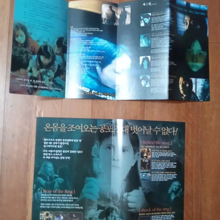 [BUNJANG] The Ring 1 &amp; 2 Movie Flyers Bundle / 영화팜플렛 링 1 2  2종일괄 배두나  영화전단지 포스터