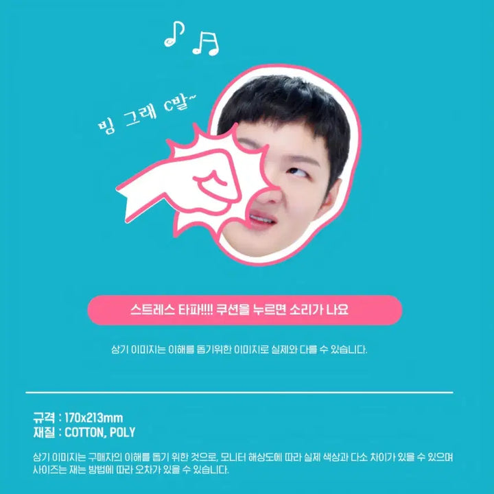 [BUNJANG] Lee Changsub (BTOB) "Vulgar Idea" Voice Punch Cushion (Sealed) / 이창섭의 상스러운 발상 보이스 펀치 쿠션