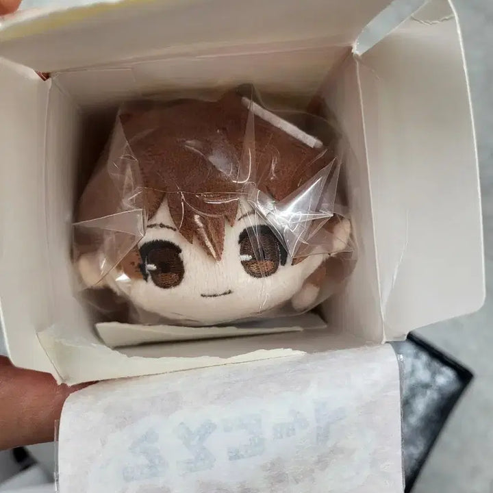 [BUNJANG] Katekyo Hitman Reborn! Gororin Plush Doll Tsuna (Sealed) / 가정교사 히트맨 리본 가히리 고로링인형 츠나 미개봉 양도