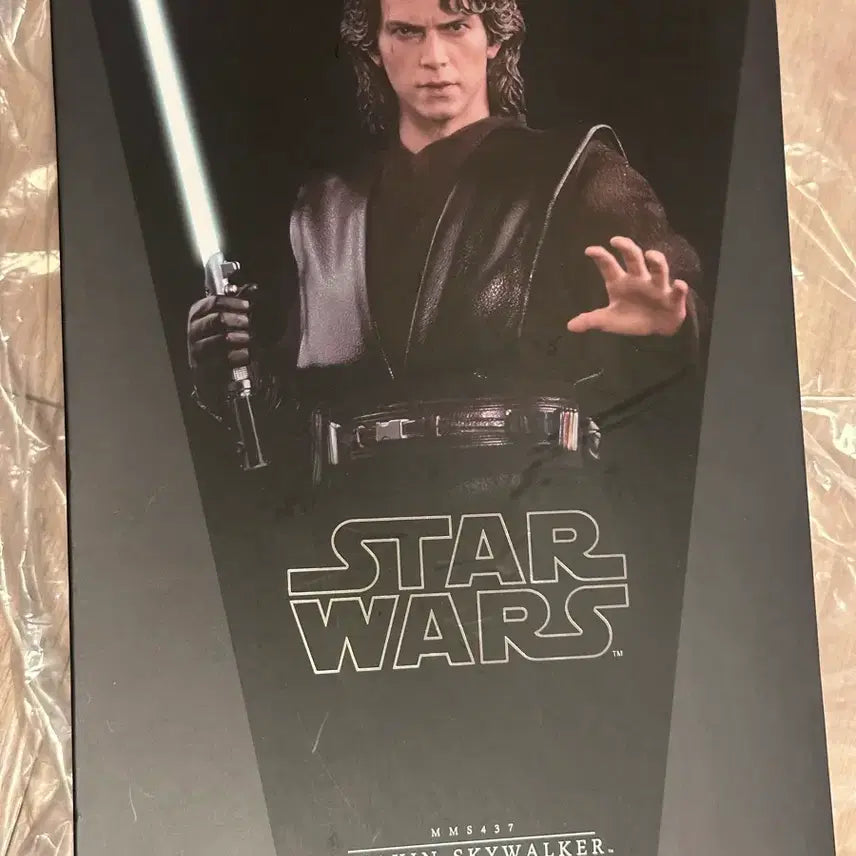 [BUNJANG] Hot Toys Anakin Skywalker / 핫토이 아나킨