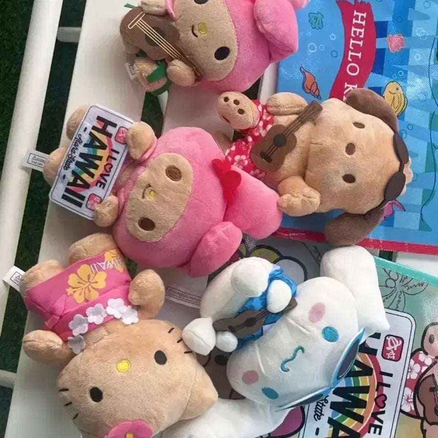 [BUNJANG] Sanrio Pochacco &amp; My Melody Bundle Set / 기타 포차코&amp;마멜 일괄