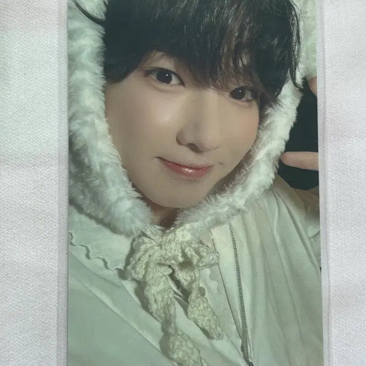 [BUNJANG] NCT WISH Sakuya Japanese Membership Wish Book Photocard / 엔시티위시 사쿠야 일본 멤버십 위시북 포카 양도
