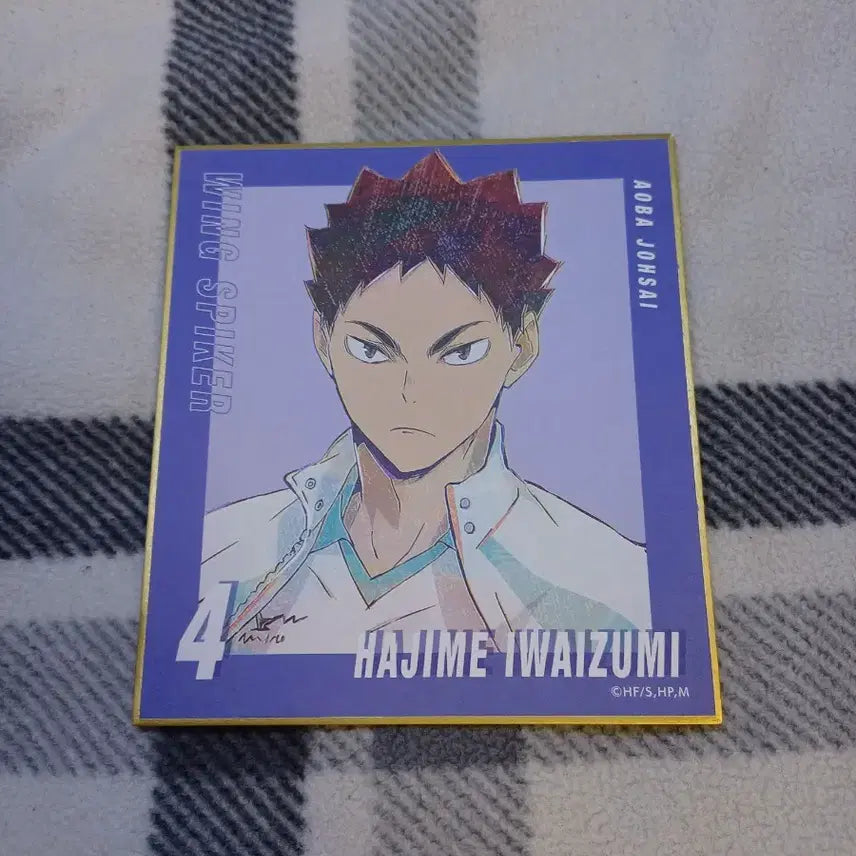 [BUNJANG] Haikyuu!! Hajime Iwaizumi Shikishi Collection / 하이큐 이와이즈미 하지메 색지 콜렉션