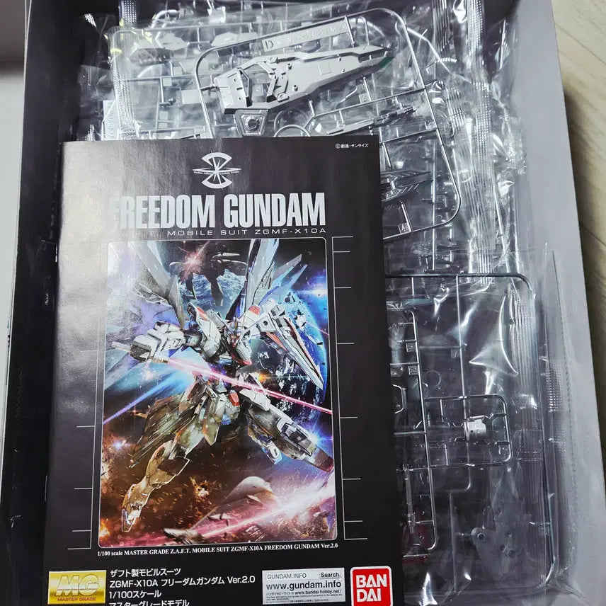 [BUNJANG] Bandai MG Freedom Gundam Ver. 2.0 Silver Coating / 반다이 MG 프리덤 건담 Ver2.0(실버코팅)