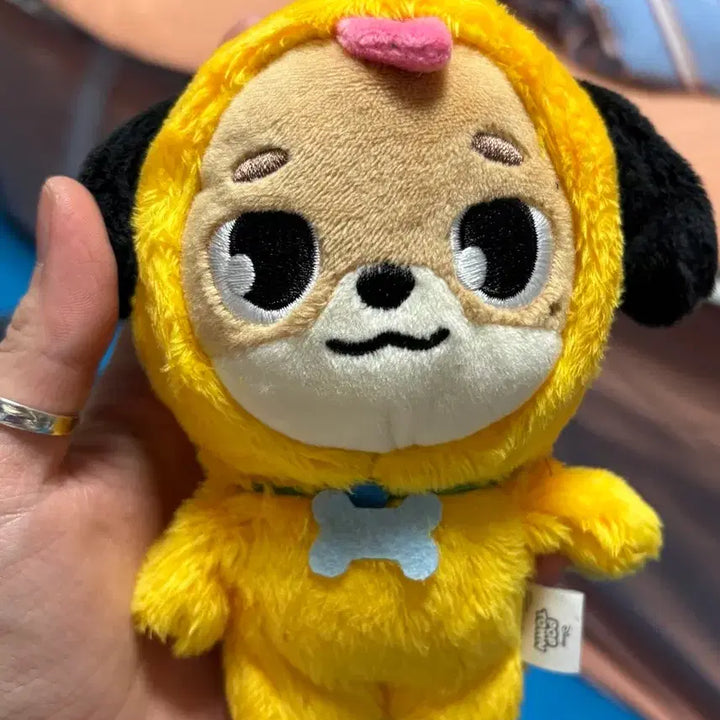 [BUNJANG] Day6 Dowoon Doll / 데이식스 도운 돈