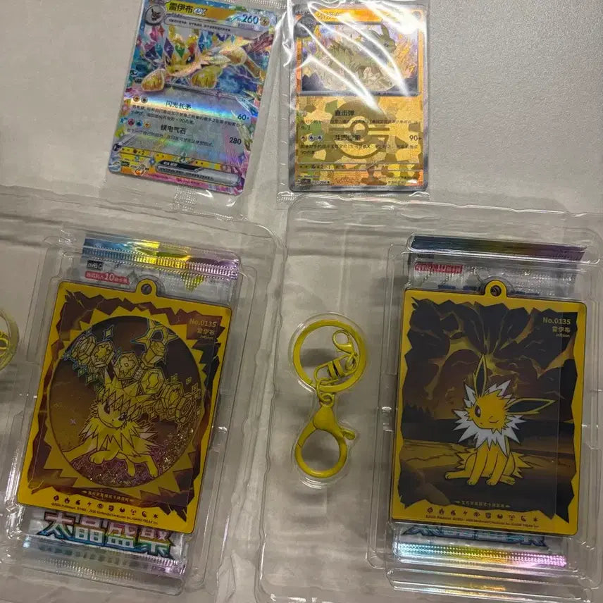 [BUNJANG] Chinese Exclusive Pokémon Terrastal Eeveelutions Card Case Keyring / 중국 한정판 히든 포켓몬스터 테라스탈 이브이즈 카드 케이스 키링