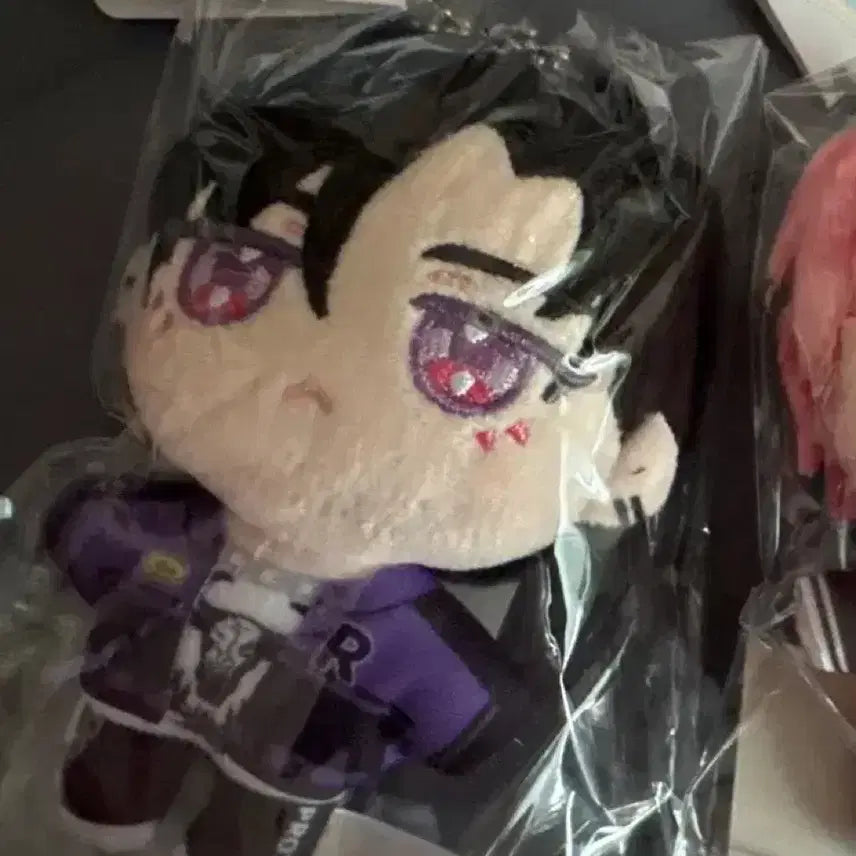 [BUNJANG] Tamon-gun Rintaro Plush Doll / 타몬군 지금 어느쪽? 누이 린타로 원가이하 판매