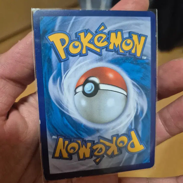 [BUNJANG] The Pokemon Company Kyogre 25th Anniversary Special Set Card / 가이오가 25주년 포켓몬카드 s8a
