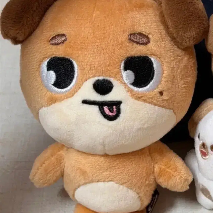 [BUNJANG] DAY6 Denimals Don Plushie Keychain / 데이식스 DAY6 데니멀즈 돈 굿즈 인형 키링 새상품 원가이하