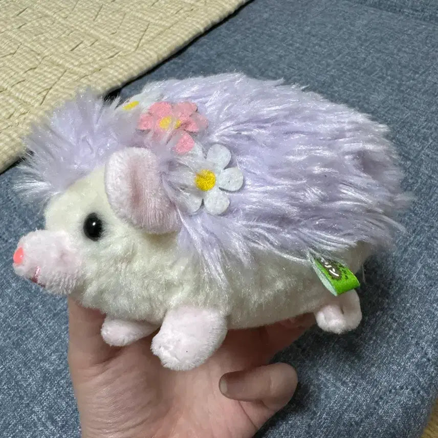 [BUNJANG] Amuse Hedgehog Plush / 어뮤즈 고슴도치 인형 판매중