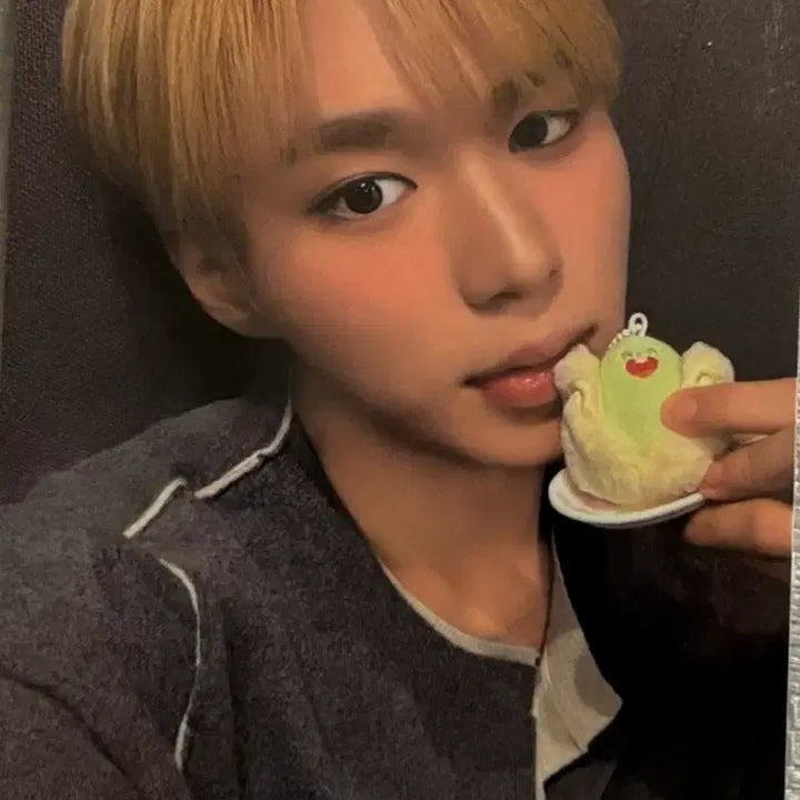 [BUNJANG] ALD1 Kim Junseo Photocard / 알파드라이브원 알디원 ALD1 하이디라오 김준서 포카