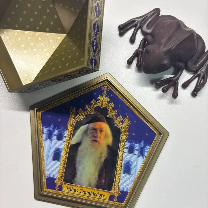 [BUNJANG] Harry Potter Noble Collection Chocolate Frog Official Goods / 해리포터 노블 컬렉션 개구리 초콜릿 공식 굿즈