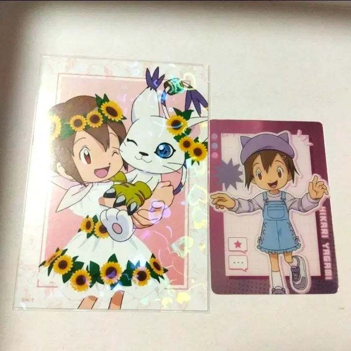 [BUNJANG] Digimon Adventure Narri Takayama &amp; Gatomon Postcard Set (2 pcs) / 디지몬 어드벤처 나리  신나리 가트몬 엽서 포카 2장 일괄 포스트 카드