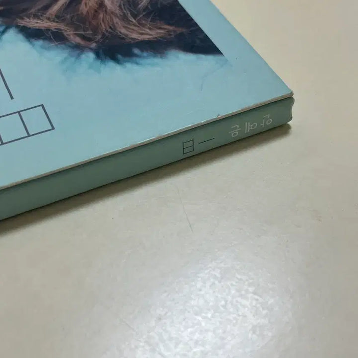 [BUNJANG] Ahn Yaeun Autographed Daily CD / 안예은 일일 싸인CD