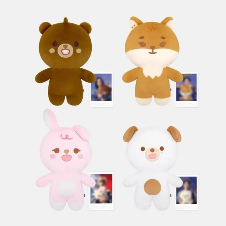 [BUNJANG] Day6 Young K Petit Merz Don Original Price Transfer / 데이식스 자이언트 쁘띠멀즈 돈 도운 자쁘멀 돈 원가양도