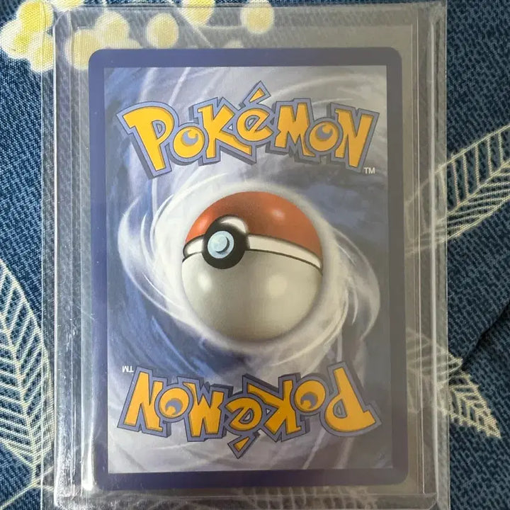 [BUNJANG] Pokemon Card First Partner Squirtle / 포켓몬카드 퍼스트파트너 꼬북이