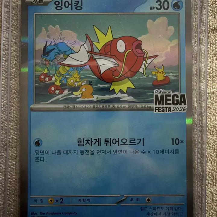 [BUNJANG] Pokemon Card Magikarp MEGA FESTA 2026 PROMO / 포켓몬 카드 잉어킹 프로모 MEGA FESTA 2026 PROMO