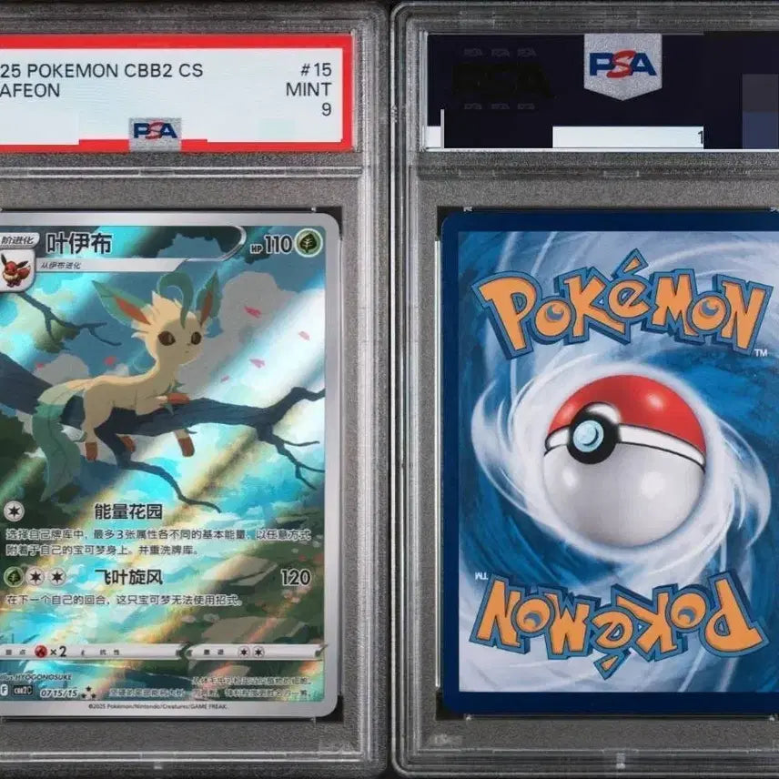 [BUNJANG] PSA 9 Chinese Exclusive Illustration Full Illustration Card - Lephie / (psa 9) 중판 한정일러 cbb2 cs 15 리피아 풀일러 등급 카드