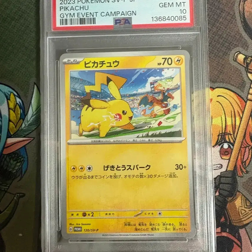 [BUNJANG] Pikachu &amp; Charizard Gym Promo PSA 10 Graded Card / 피카츄&amp;리자몽 짐프로 PSA 10등급 판매