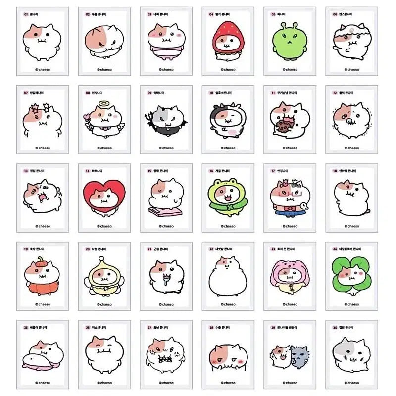 [BUNJANG] Jjonnyami DdibbuSeal Complete Set / 쫀냐미 띠부씰 전종 판매합니다