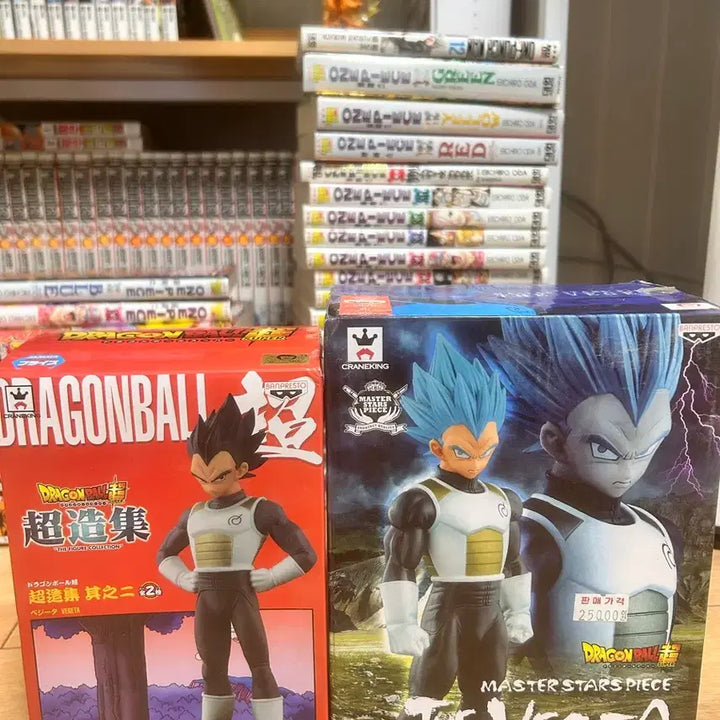 [BUNJANG] Dragon Ball Vegeta Figure Bundle Set / 드래곤볼 피규어 베지터 일괄