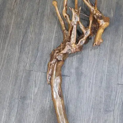[BUNJANG] Rare Unique Walking Cane / 희귀한 세상에 하나뿐인 지팡이