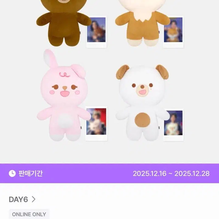 [BUNJANG] DAY6 Jappumul Don Photocard / DAY6 자쁘멀  돈 입니다.