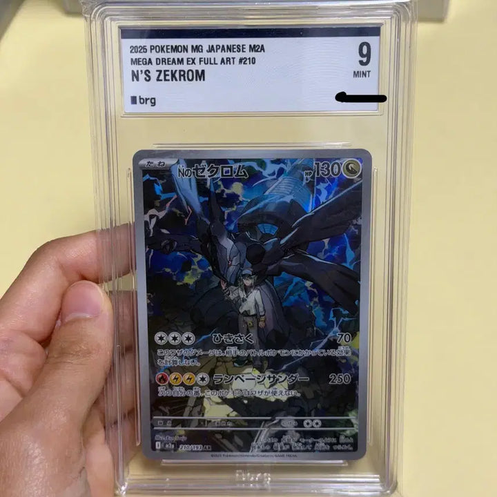 [BUNJANG] Pokemon Card Mega Dream N&
