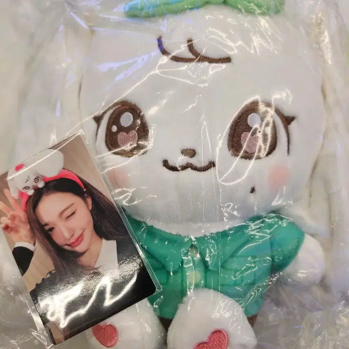 [BUNJANG] IVE Everland Cast Splash Wonyoung Bundle Set with 70,000 KRW Benefit / ive아이브 에버랜드 캐스트 스플래시 원영 + 7만특전