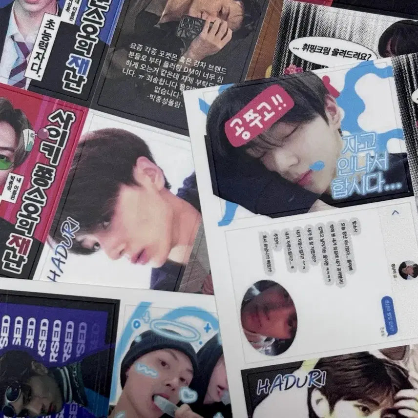[BUNJANG] Enhypen POB Photocard Doll Bundle Set / 엔하이픈 프리쿠라 양도 포카 인형 콘서트