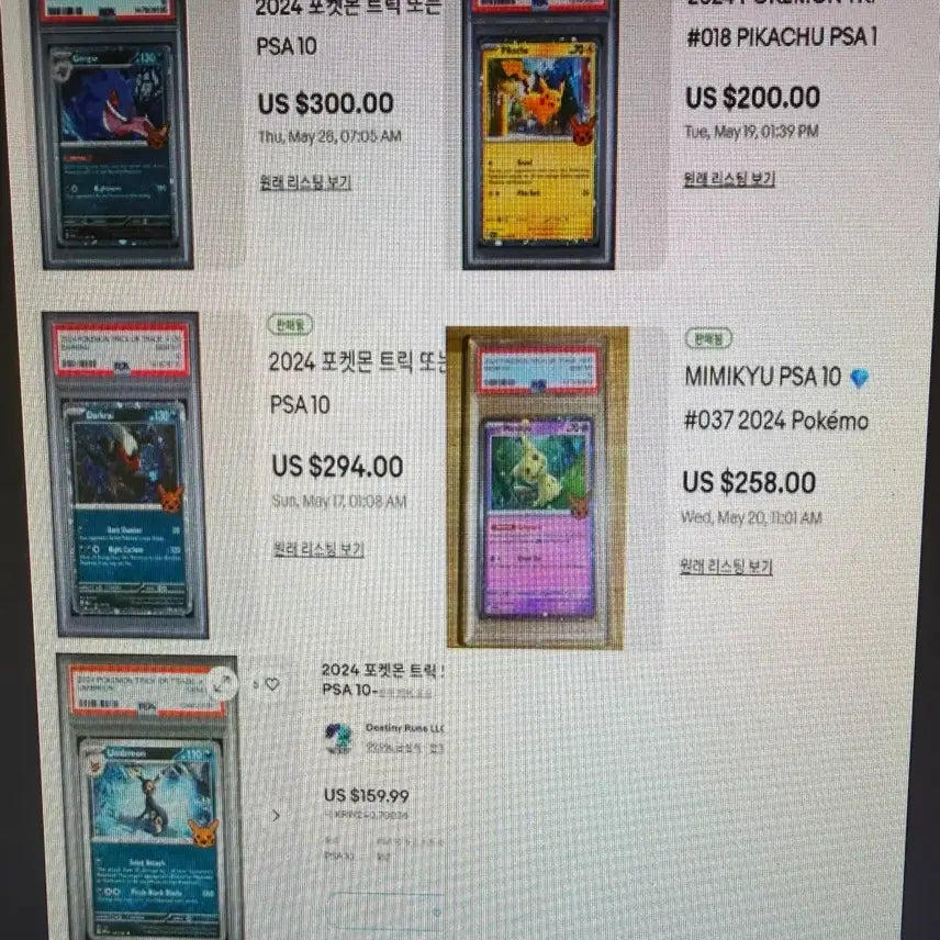 [BUNJANG] Pokemon TCG Halloween 2024 Pack / 포켓몬카드 2024 할로윈팩 번들
