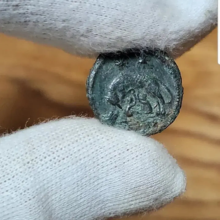 [BUNJANG] Ancient Roman Empire Bronze Coin (Silver Coin) - Collectible Hobby Relic / 고대 로마 제국 동전 주화 교육 엔티크 수집 취미 예수 유물