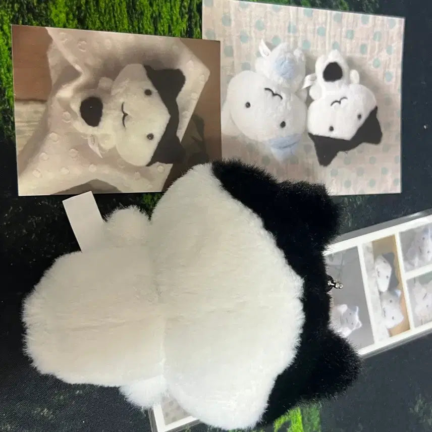 [BUNJANG] Wooi Cat Doll / 우이님 인형 고양이 양도합니다