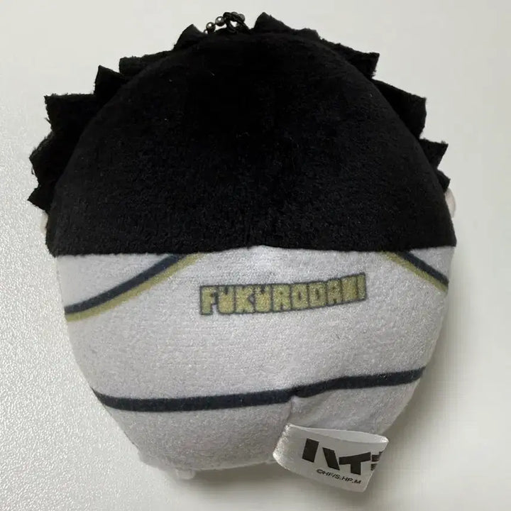 [BUNJANG] Haikyuu Akaashi Fuwakororin Plush / 하이큐 아카아시 후와코로링 인형