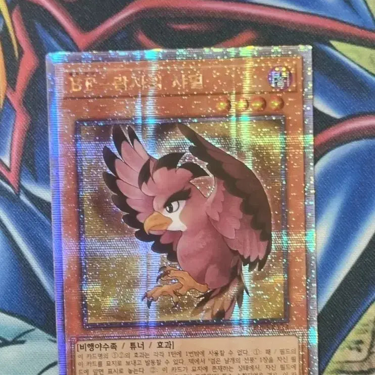 [BUNJANG] Yu-Gi-Oh! Korean BF-Ramses&