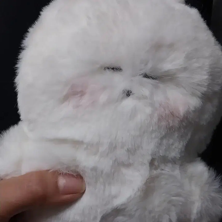 [BUNJANG] Yeopgi Tokki Version 2 Plush Doll / 엽기토끼 버전2호 털인형