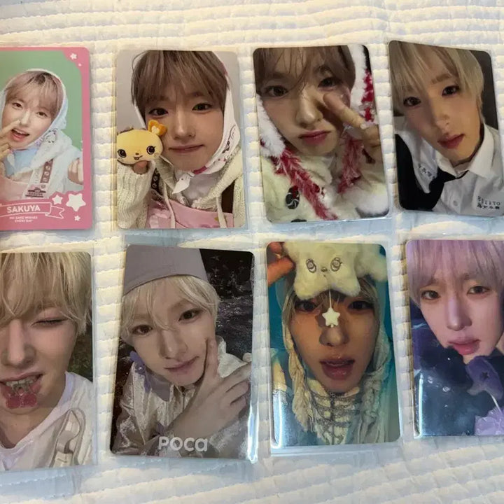 [BUNJANG] Sakuya Bundle Set Photocard / 사쿠야 포카 일괄