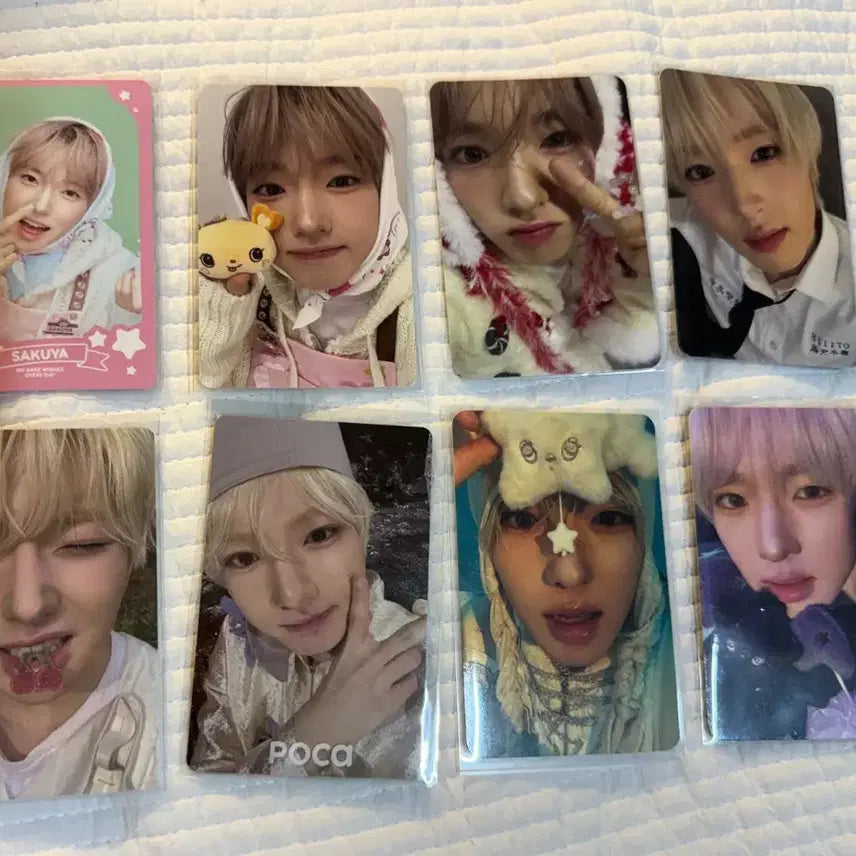 [BUNJANG] Sakuya Bundle Set Photocard / 사쿠야 포카 일괄