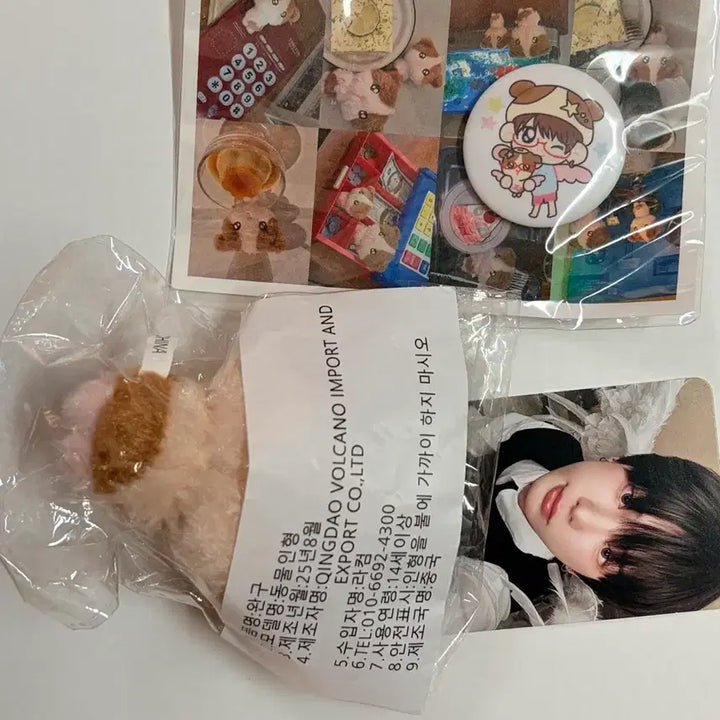 [BUNJANG] Harua Runini 7cm Plush Doll / 룽기니 앤팀 하루아 인형
