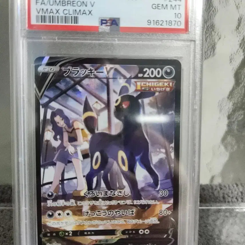 [BUNJANG] Pokemon Card Blacky VMAX CLIMAX 