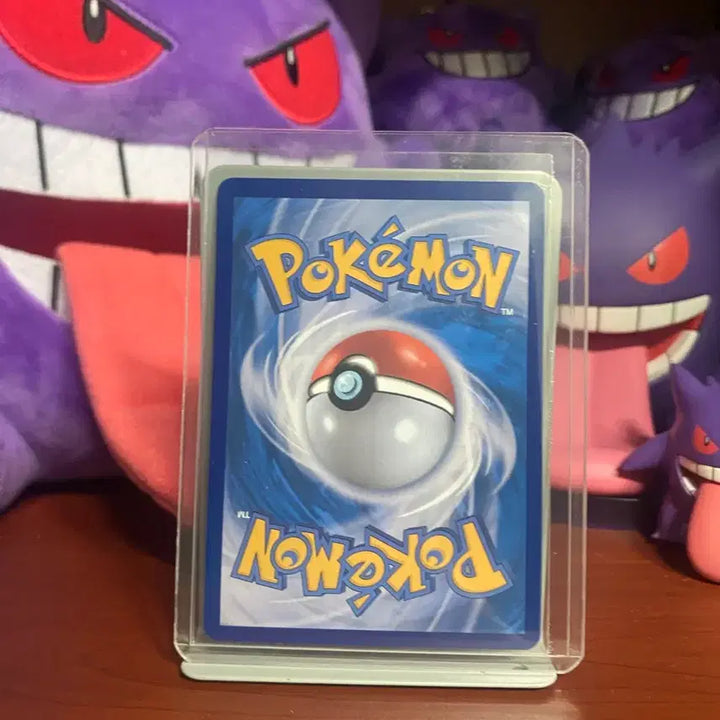 [BUNJANG] Pokemon Card Mega Charizard EX SAR / 포켓몬 카드 메가 리자몽 EX sar