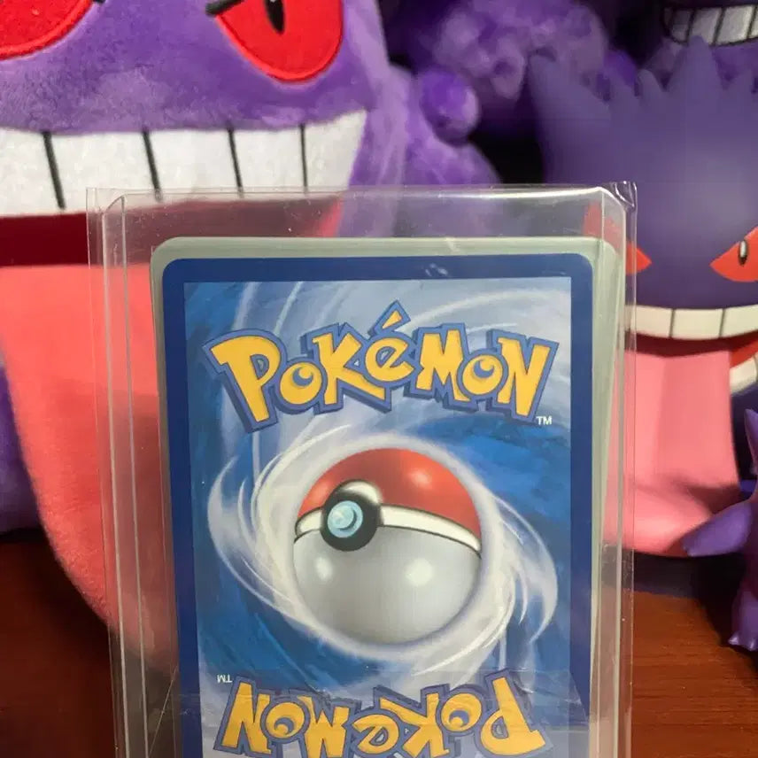 [BUNJANG] Mega Phantom Blaziken SAR Bundle Set / 메가팬텀 블래키 sar 일괄
