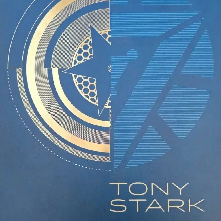 [BUNJANG] Hot Toys Iron Man Tony Stark Figure / 핫토이 아이언맨 토니스타크 피규어