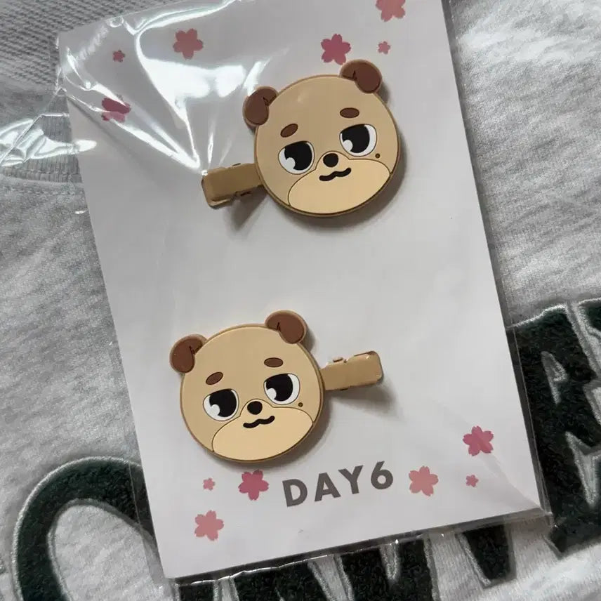 [BUNJANG] DAY6 Yokohama Concert Don Pin / 요코하마 돈 삔 양도
