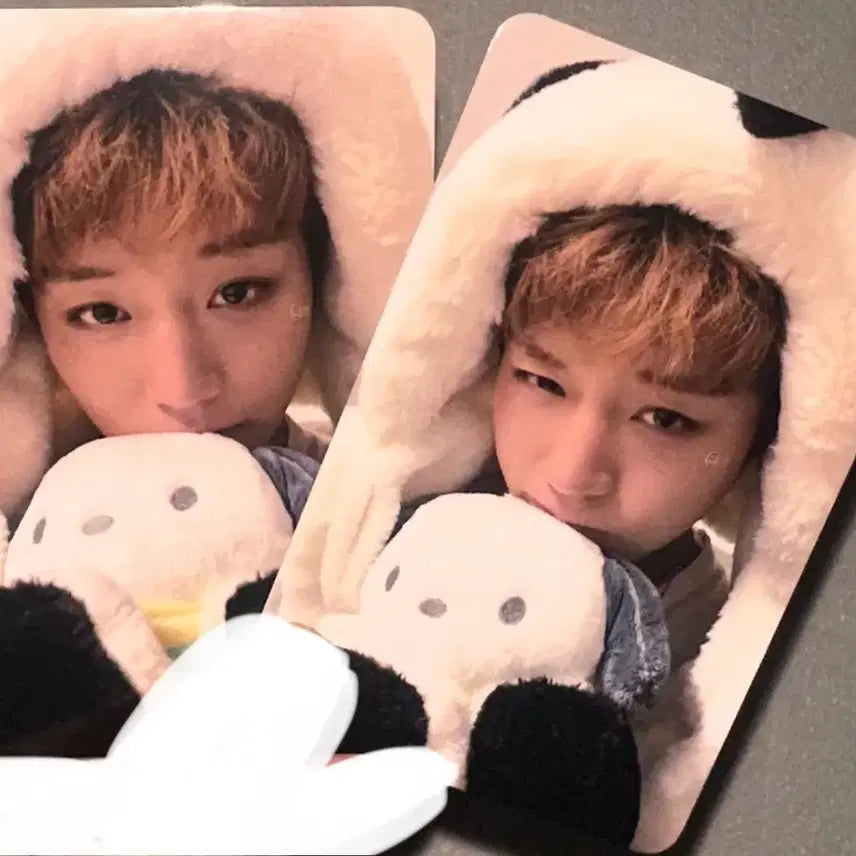 [BUNJANG] Park Ji Hoon Pochacco Photocard / 박지훈 포차코 포토카드