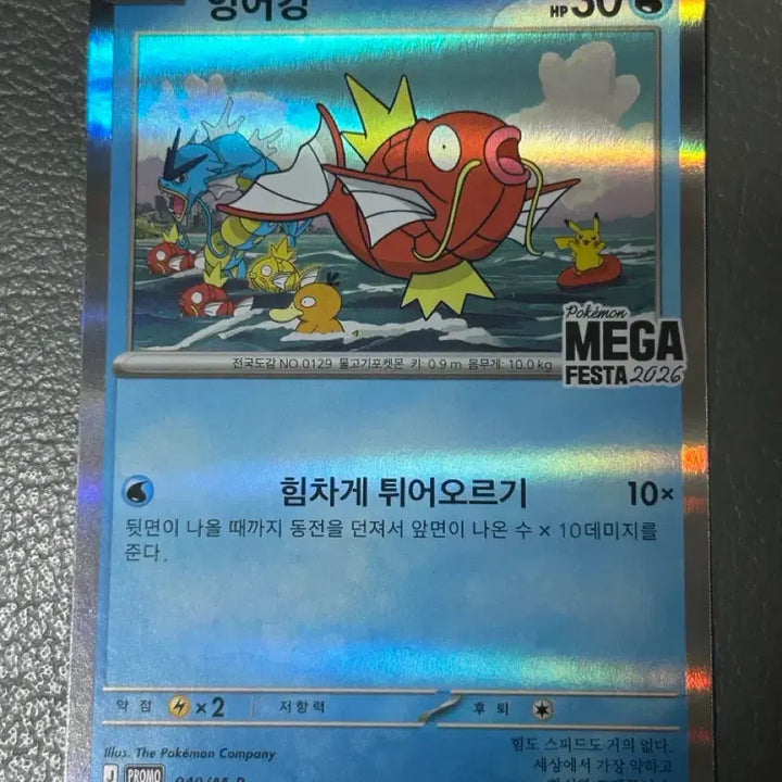 [BUNJANG] Pokemon Magikarp Promo Graded Card / 포켓몬 카드 잉어킹  프로모 개봉 (등급용)