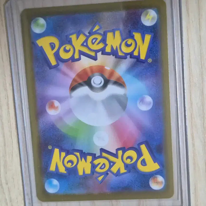 [BUNJANG] Pokemon Card Kaji SAR (Japanese Edition) / (일판)포켓몬 카드 카지 SAR
