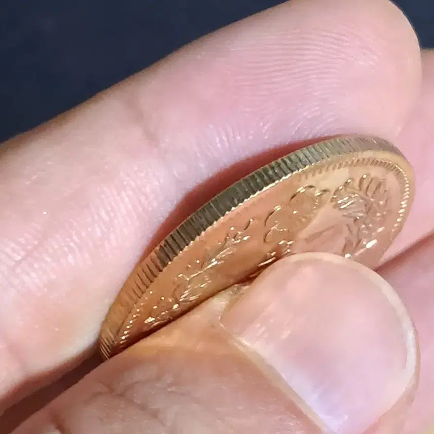 [BUNJANG] Mixed Foreign Coins and Banknotes Collection / U65 외국동전 은화 금화 고전주화 중국동전 해외동전 엽전 별전 중국지폐