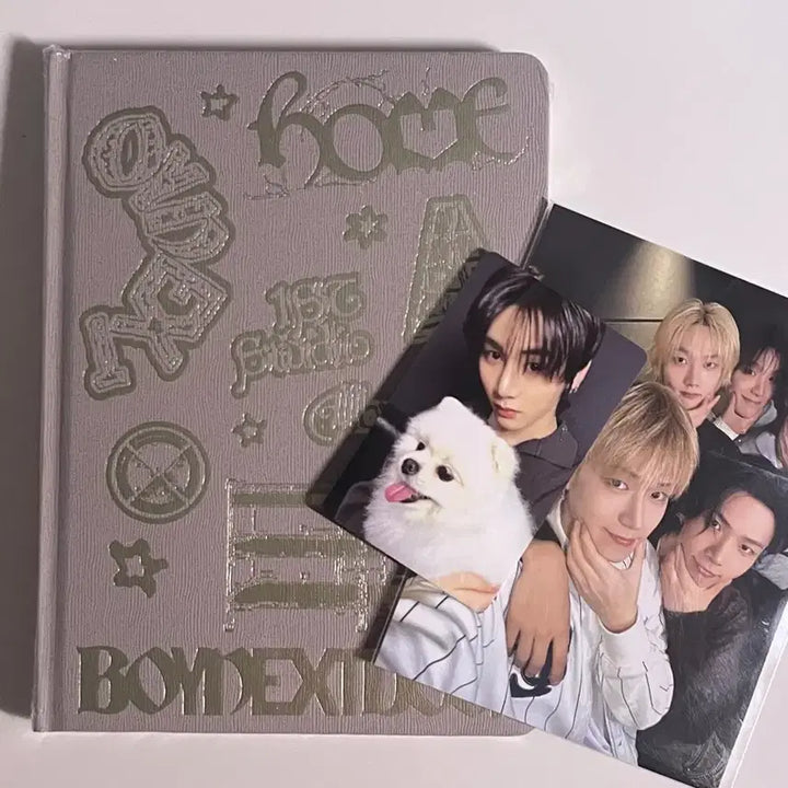 [BUNJANG] Taesan Jjangi Photocard and Album Bundle Set / 태산 짱이 포카 및 앨범 일괄