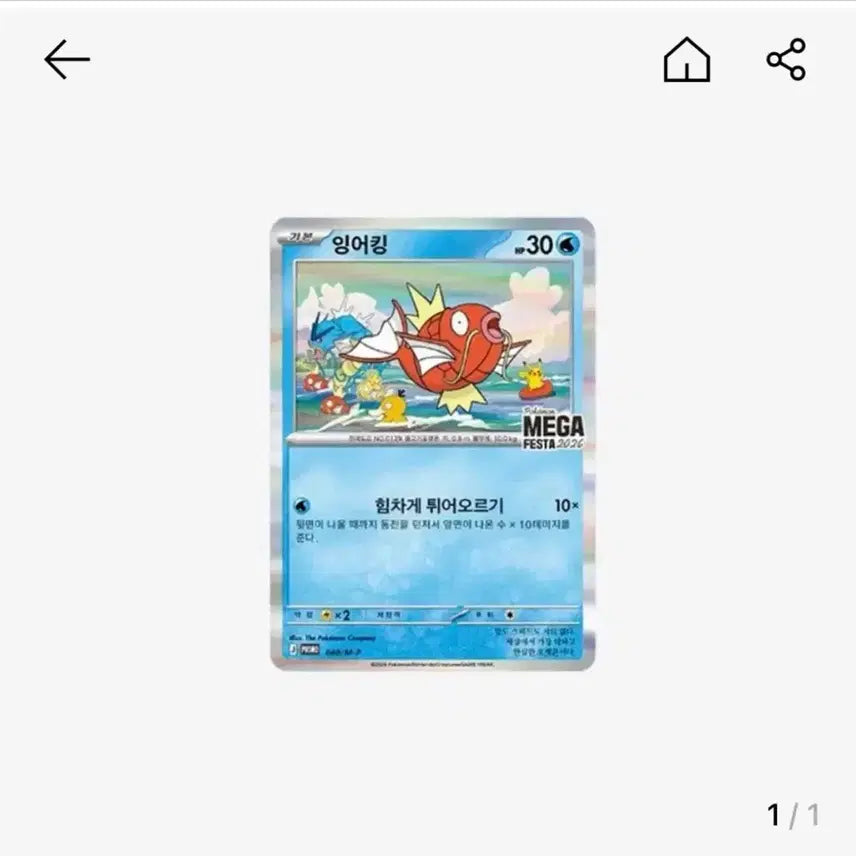 [BUNJANG] Gyarados Promo Sealed / 잉어킹 프로모 미개봉
